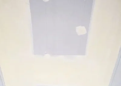 Fig Tree ceiling plasterer