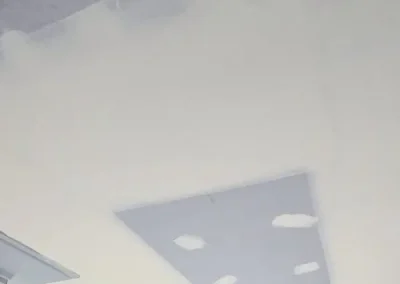 Fig Tree ceiling plastering