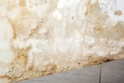 water damage wall repairs Sydney