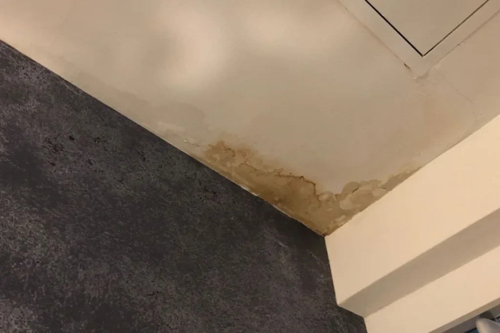 cornice and ceiling damage due to water leakage